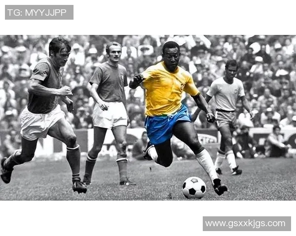 埃尔温足球明星的辉煌成就与影响力盘点